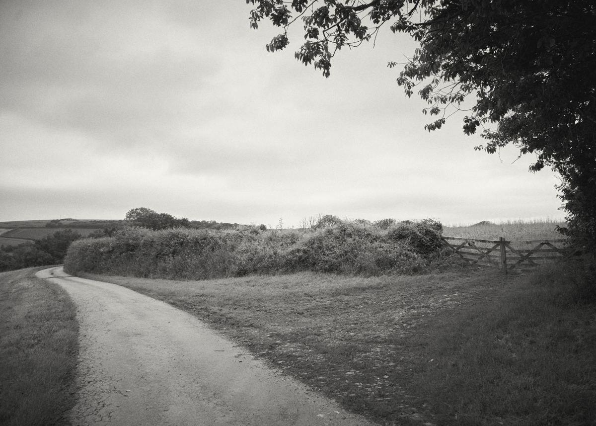 En markvej der drejer ud i landskabet.